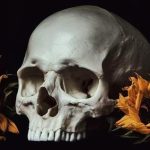 Flores, Frutas y Calaveras: La Vida a Través del Arte