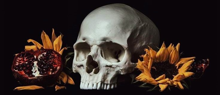 Flores, Frutas y Calaveras: La Vida a Través del Arte